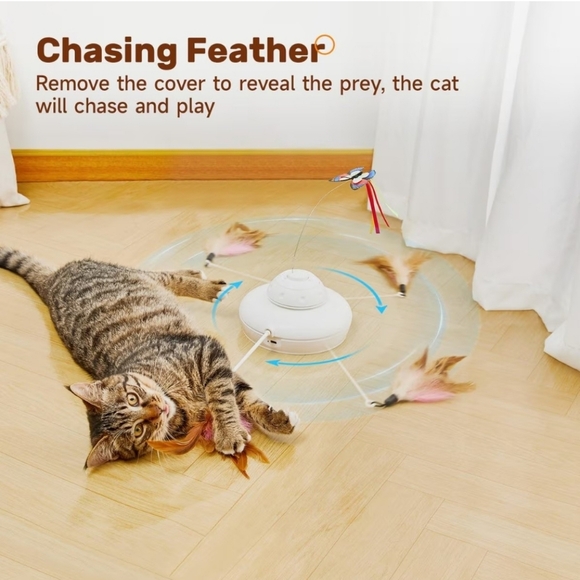 Potaroma 3 In 1 Hide and Seek Butterfly Cat Toy EUC - Picture 11 of 14